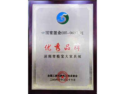 松寶大優秀品牌證書